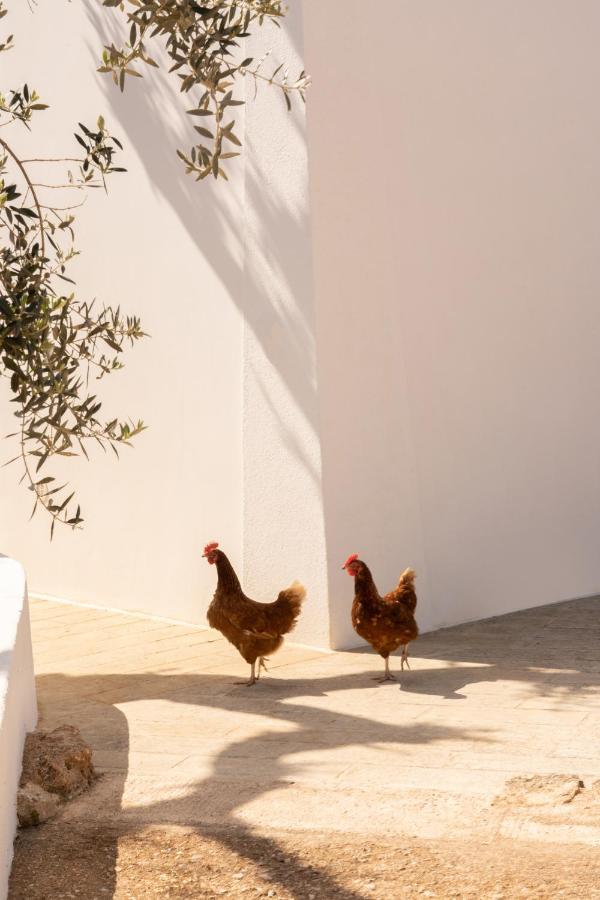 فيلا Sikalindi Apulia غاليانو دل كابو المظهر الخارجي الصورة